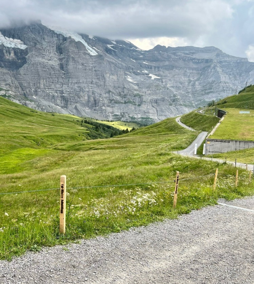 Even one minute of strolling and taking a brisk walk can recharge the brain.