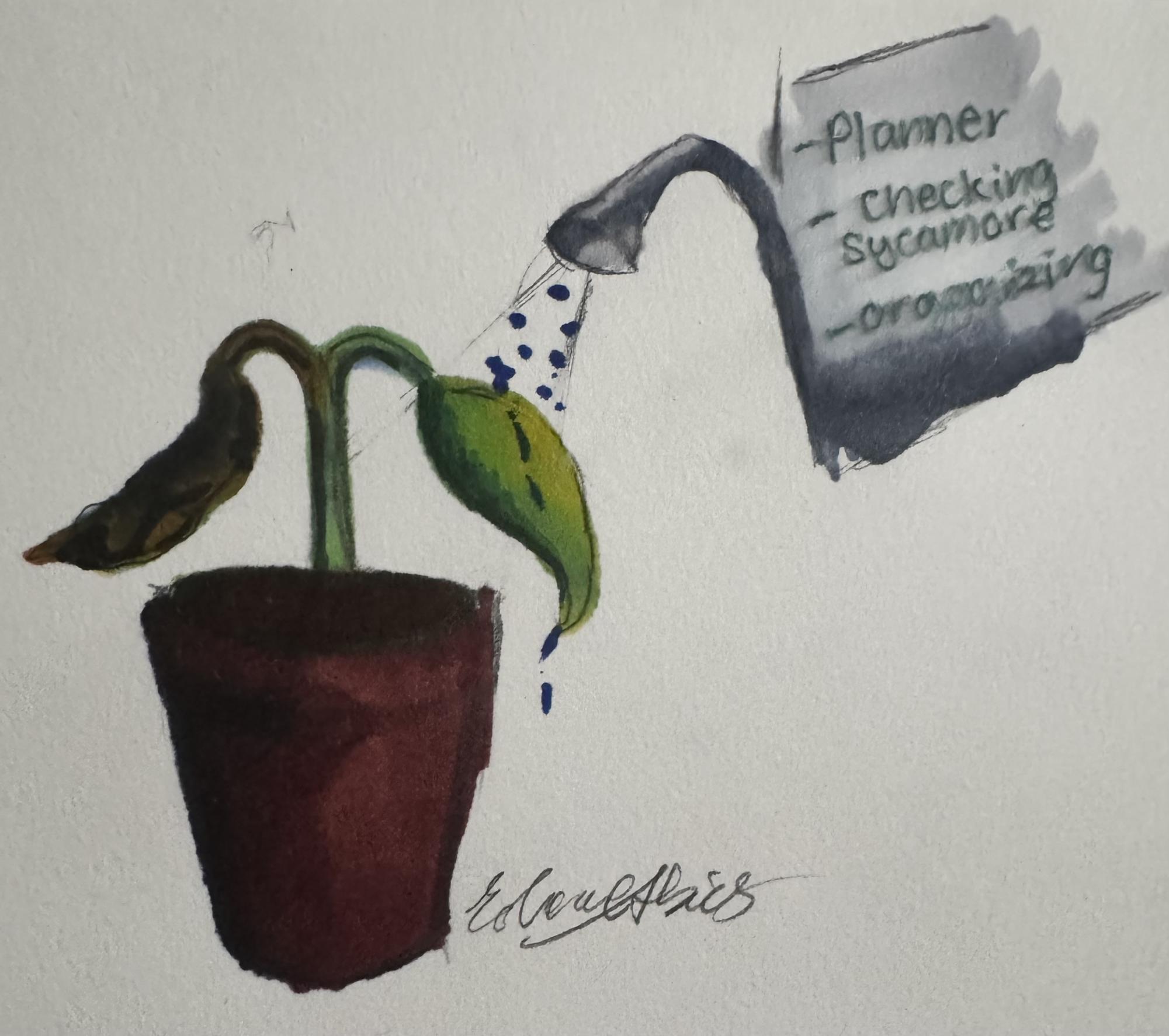 An image showing the effect of students organization and responsibility shown in the metaphor of a plant. Illustration done by Eshaal Abid.