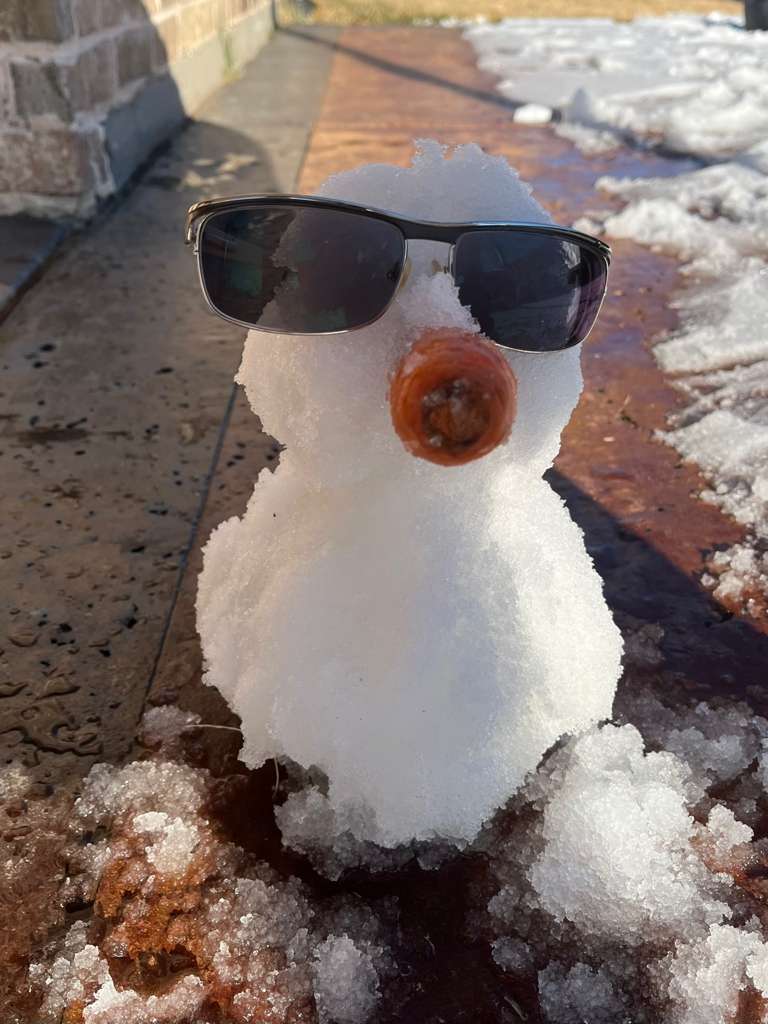 A "cool" snowman made of the snow, a carrot, and some sunglasses.