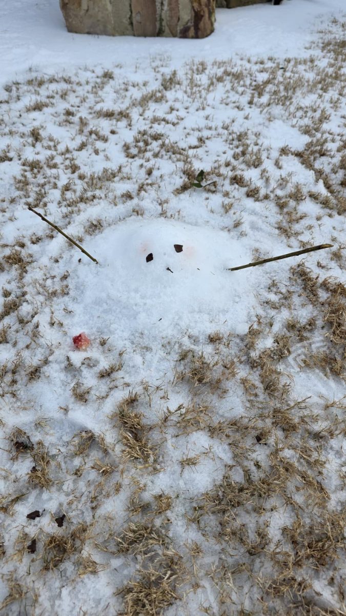 A "melting" snowman built by a student.