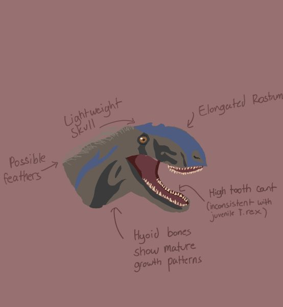 Paleontology Case Study