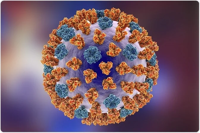 The Influenza A Virus
