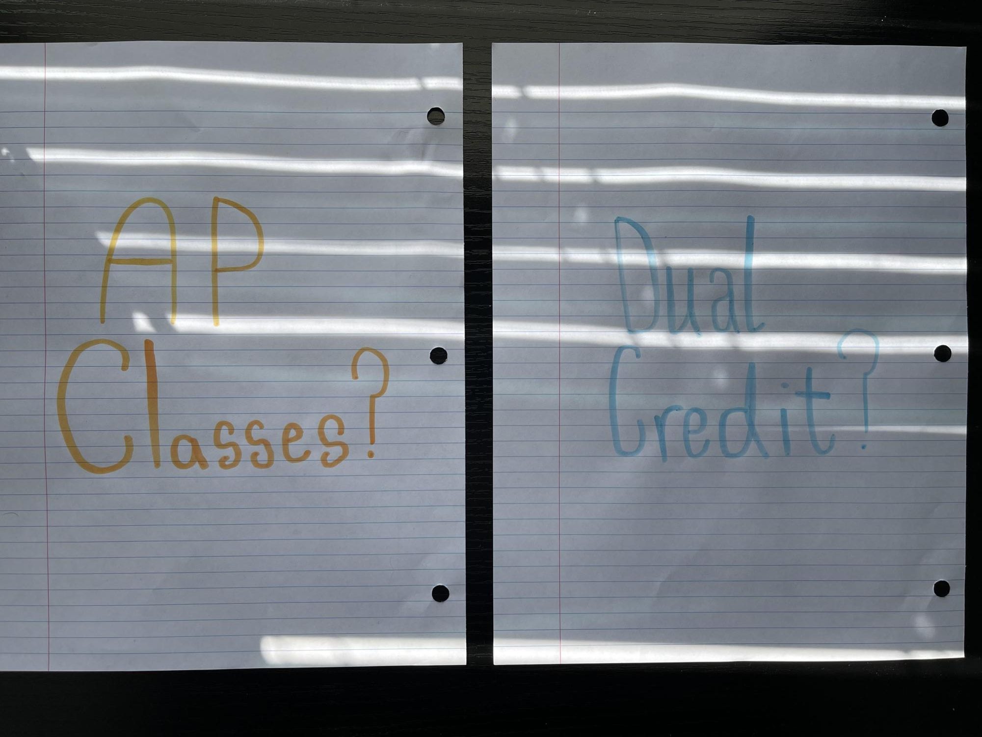 Sophomores must decide whether to take AP or dual credit courses as they prepare for junior year.